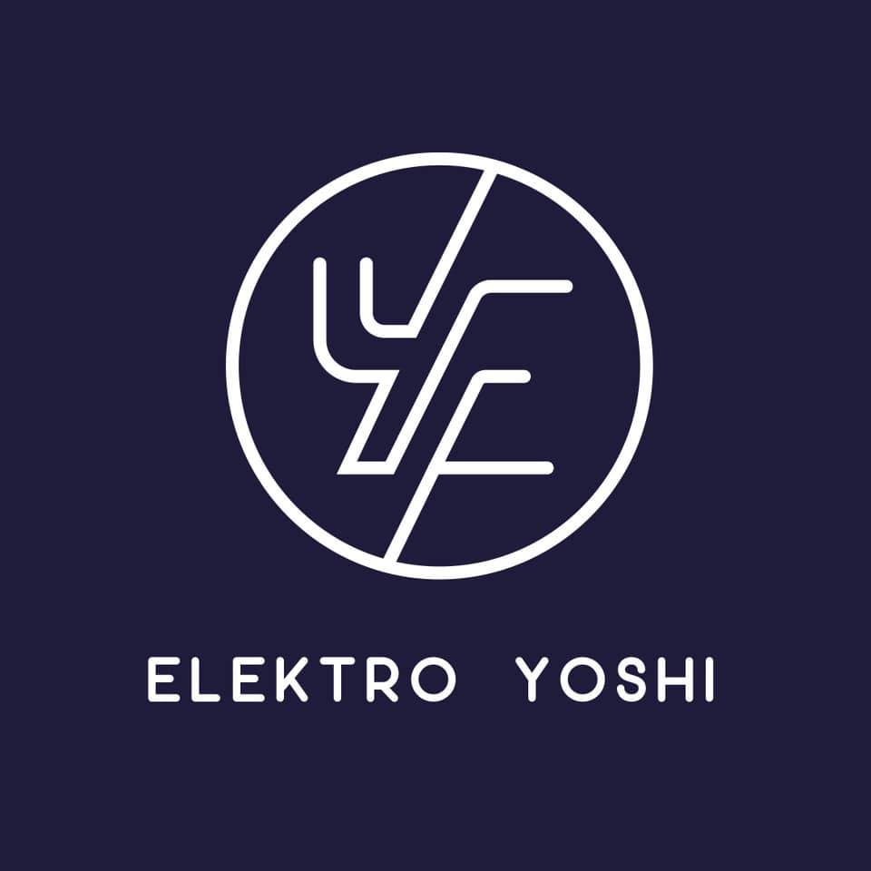 electro yoshi
